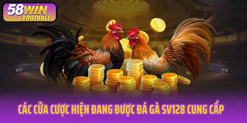 Các cửa cược hiện đang được đá gà SV128 cung cấp