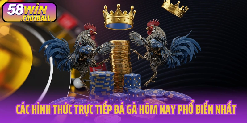 Các hình thức trực tiếp đá gà hôm nay phổ biến nhất