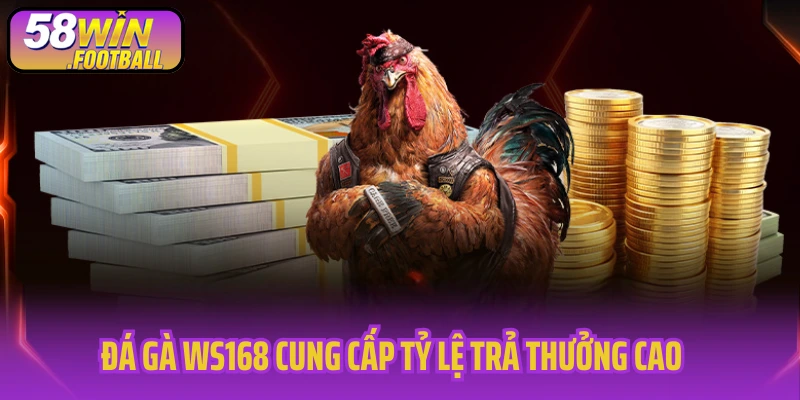 Đá gà WS168 cung cấp tỷ lệ trả thưởng cao