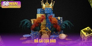Đá gà cựa dao