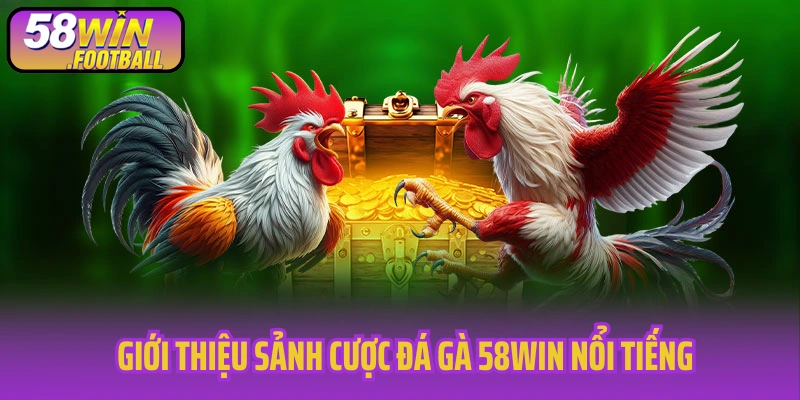 Giới thiệu sảnh cược đá gà 58Win nổi tiếng hàng đầu
