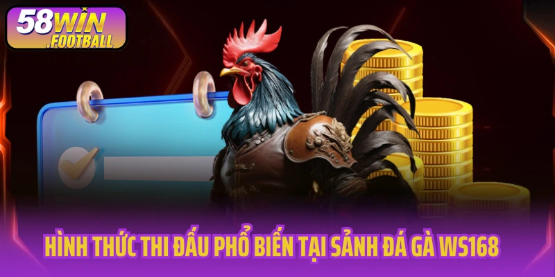 Hình thức thi đấu phổ biến tại sảnh đá gà WS168