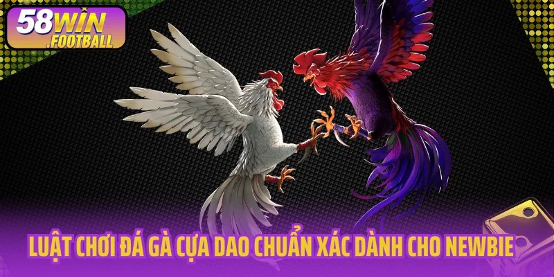 Luật chơi đá gà cựa dao chuẩn xác dành cho newbie