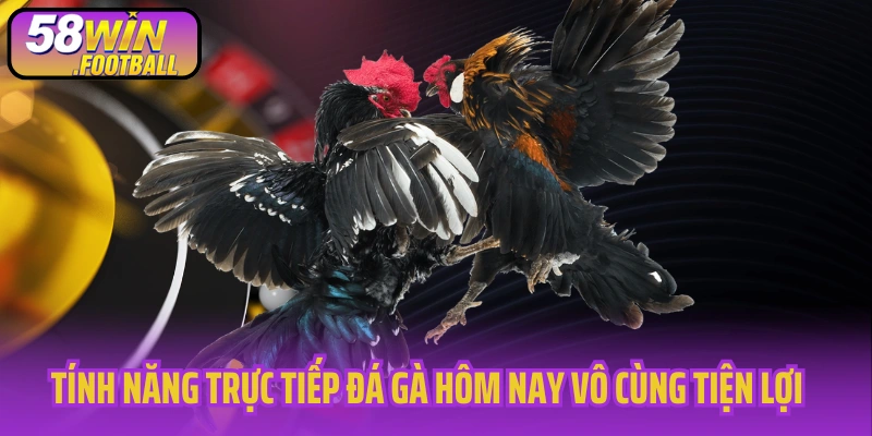 Tính năng trực tiếp đá gà hôm nay vô cùng tiện lợi