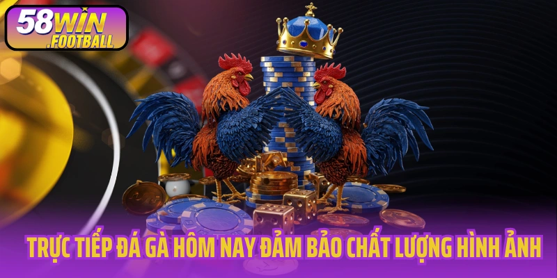 Trực tiếp đá gà hôm nay đảm bảo chất lượng hình ảnh
