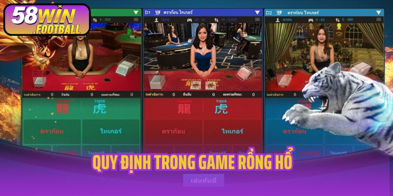 Quy định trong game rồng hổ