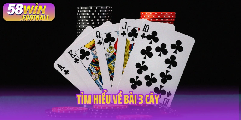 Tìm hiểu về bài 3 cây